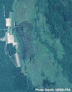 A satellite view of a waste water effluent discharge system.